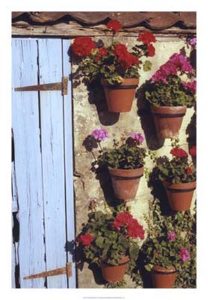 Framed Geranium Wall Print