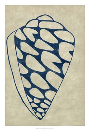 Framed Indigo Shell IV Print