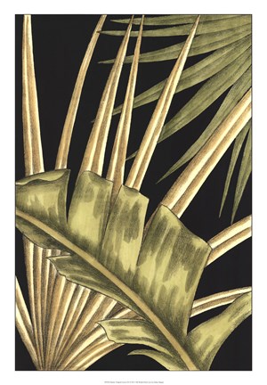 Framed Rustic Tropical Leaves III Print