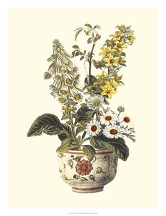 Framed Floral Medley II Print