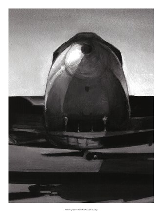 Framed Vintage Flight II Print