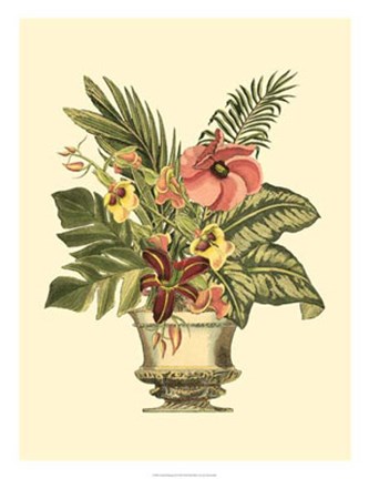 Framed Tropical Elegance II Print