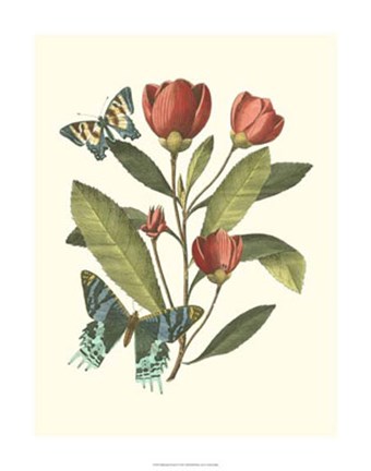 Framed Midsummer Floral II Print