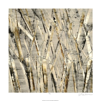 Framed Birches V Print