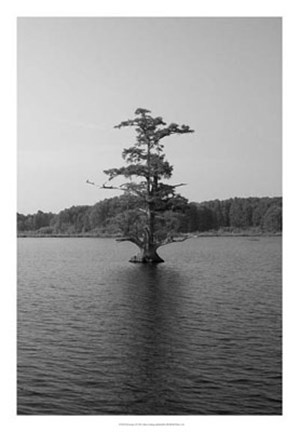 Framed Riverscape I Print