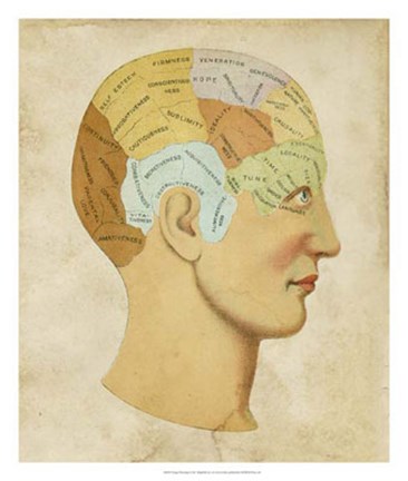Framed Vintage Phrenology Print