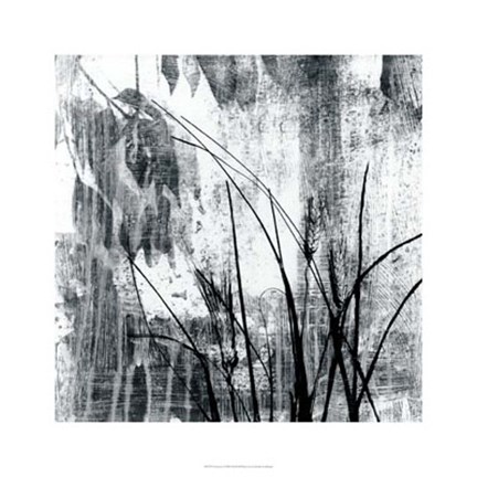 Framed Exposure I Print