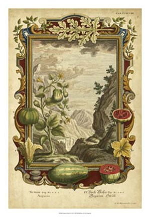 Framed Genesis Fruits II Print