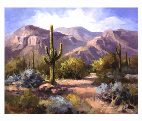 Framed Catalina Mountain Foothills Print