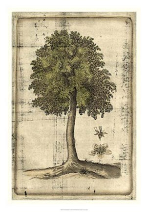 Framed Fruitful Realm II Print