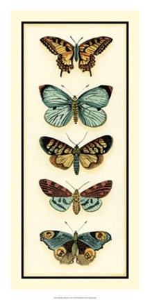 Framed Butterfly Collector VI Print