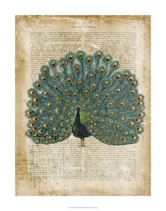 Framed Antiquarian Birds V Print