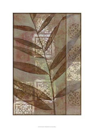 Framed Moroccan Palm II Print