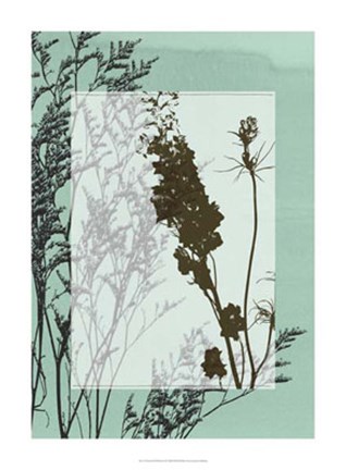 Framed Translucent Wildflowers II Print