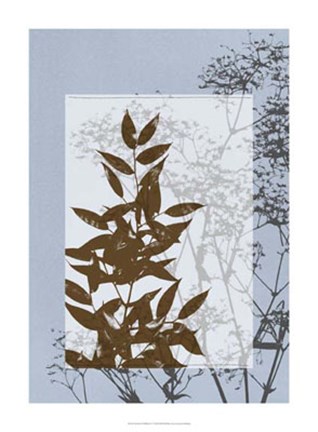 Framed Translucent Wildflowers V Print