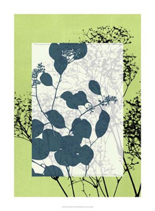 Framed Translucent Wildflowers VII Print