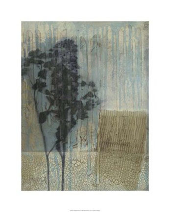 Framed Weathered Floral I Print