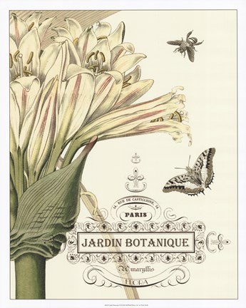 Framed Jardin Botanique II Print