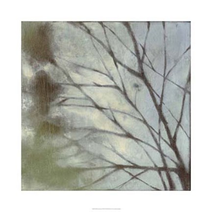 Framed Diffuse Branches I Print