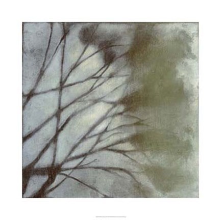 Framed Diffuse Branches II Print
