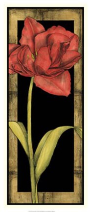 Framed Floral Inset III Print