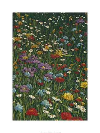 Framed Bright Wildflower Field II Print