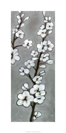 Framed White Blossoms II Print