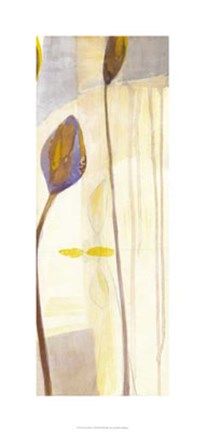 Framed Seed Pods II Print