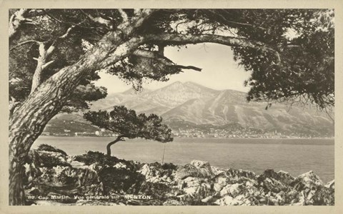 Framed Summer in France IV Print