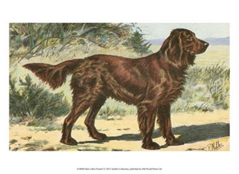 Framed Man's Best Friend I Print