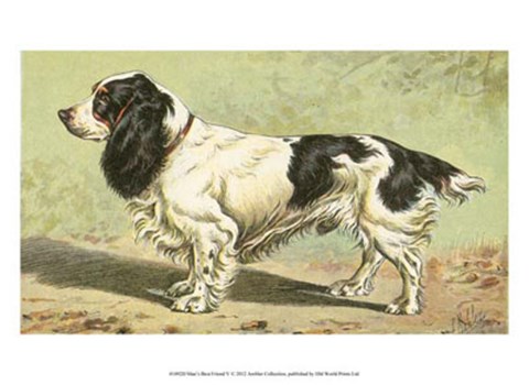 Framed Man&#39;s Best Friend V Print