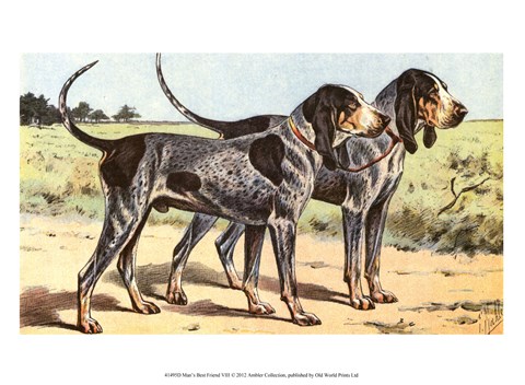 Framed Man's Best Friend VIII Print