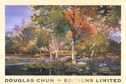 Birch Pond by Douglas Chun