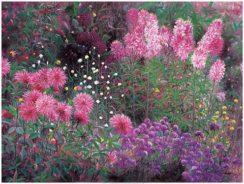 Framed Dahlia &amp; Balsamine Print