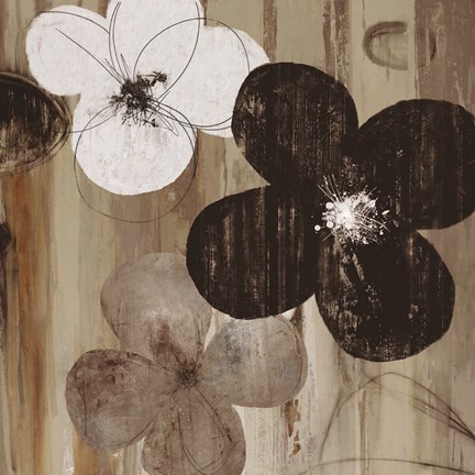 Framed Carrara II Print