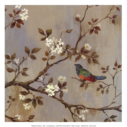 Framed Apple Bloom I ( conversation mini) Print