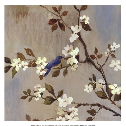 Framed Apple Bloom III ( conversation mini) Print