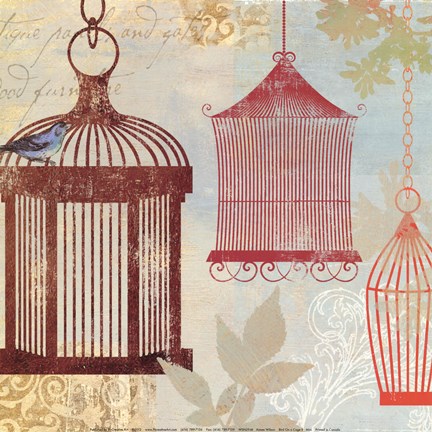 Framed Bird on a Cage II Print