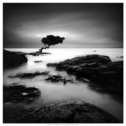 Framed Tree of Temptation Print