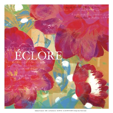 Framed Eclore - Mini Print