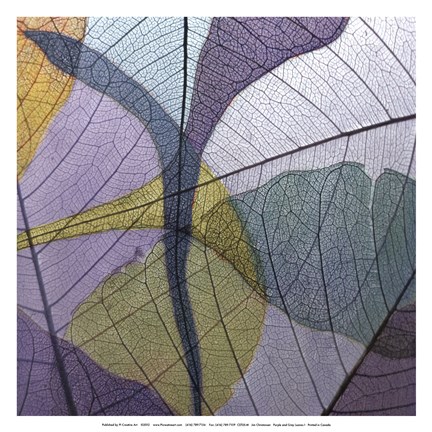 Framed Purple and Grey Leaves I Print