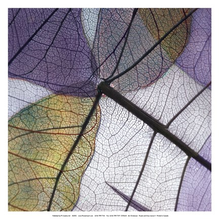 Framed Purple and Grey Leaves II Print