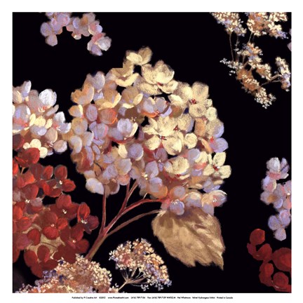 Framed Velvet Hydrangeas II - Mini Print