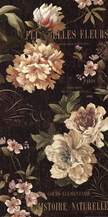 Framed Fleurs Antique II Print