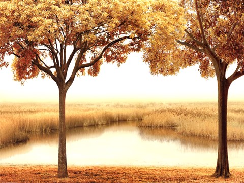 Framed Golden Morning II Print