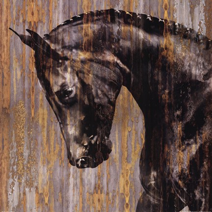 Framed Horse I Print