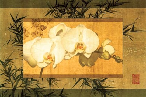 Framed Bamboo &amp; Orchids II Print