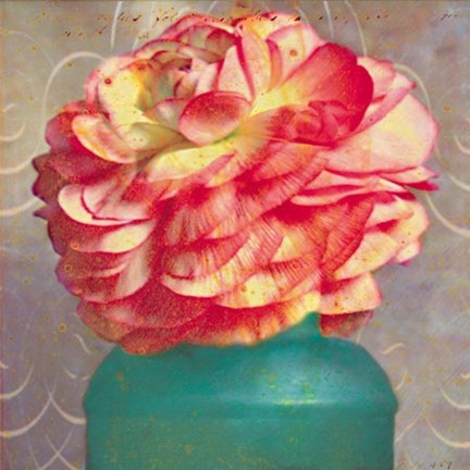 Framed Floral Study IV Print