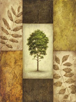 Framed North American Pine Print