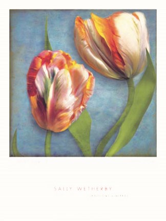 Framed Parrot Tulips I Print